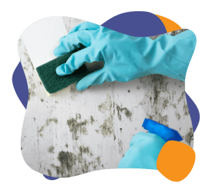 Person in Blue Latex Gloves Cleaning old off of a White Wall with a Sponge